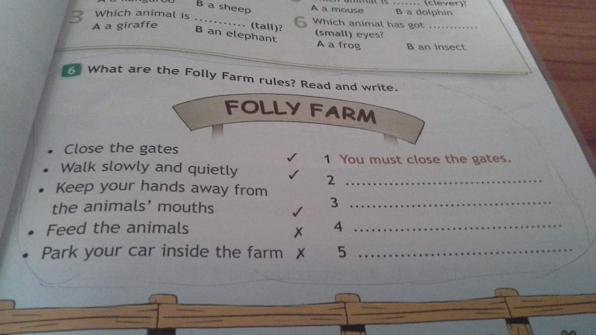 Folly Farm задание 4 класс. What are the Folly Farm Rules read and write 4 класс. Folly Farm Rules. What are the Folly Farm Rules перевод на русский язык. Farm перевод с английского