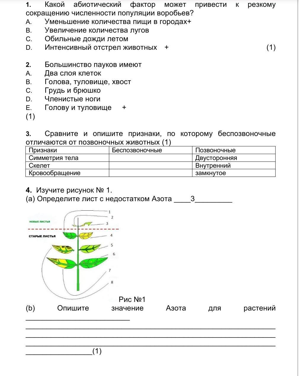 Соч по биологии 7 класс по биологии. Ответы на соры и сочи 9 класса за 4 четверть. Соч 8 класс 4 четверть биология. Тест по биологии 8 класс слуховой анализатор. Соч по биологии 7 класс 4 четверть.