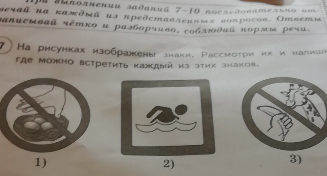Что она записала. Что она записала